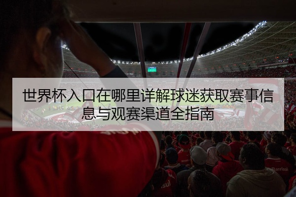 世界杯入口在哪里详解球迷获取赛事信息与观赛渠道全指南