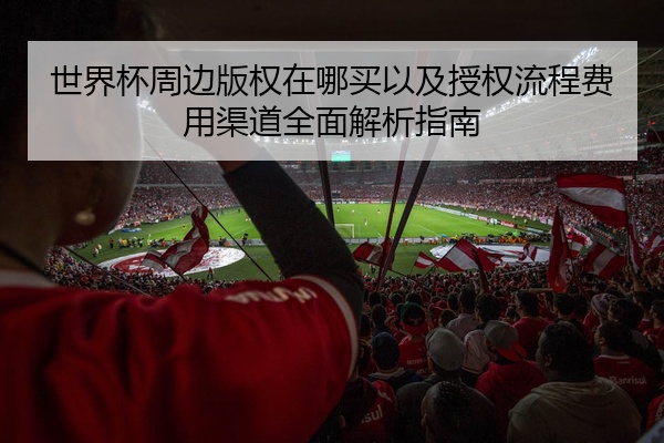 世界杯周边版权在哪买以及授权流程费用渠道全面解析指南