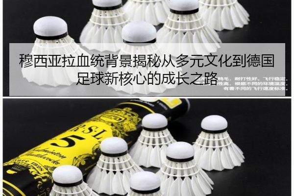 穆西亚拉血统背景揭秘从多元文化到德国足球新核心的成长之路