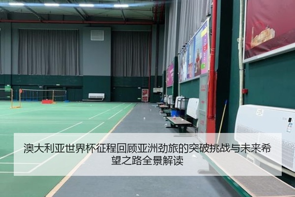 澳大利亚世界杯征程回顾亚洲劲旅的突破挑战与未来希望之路全景解读